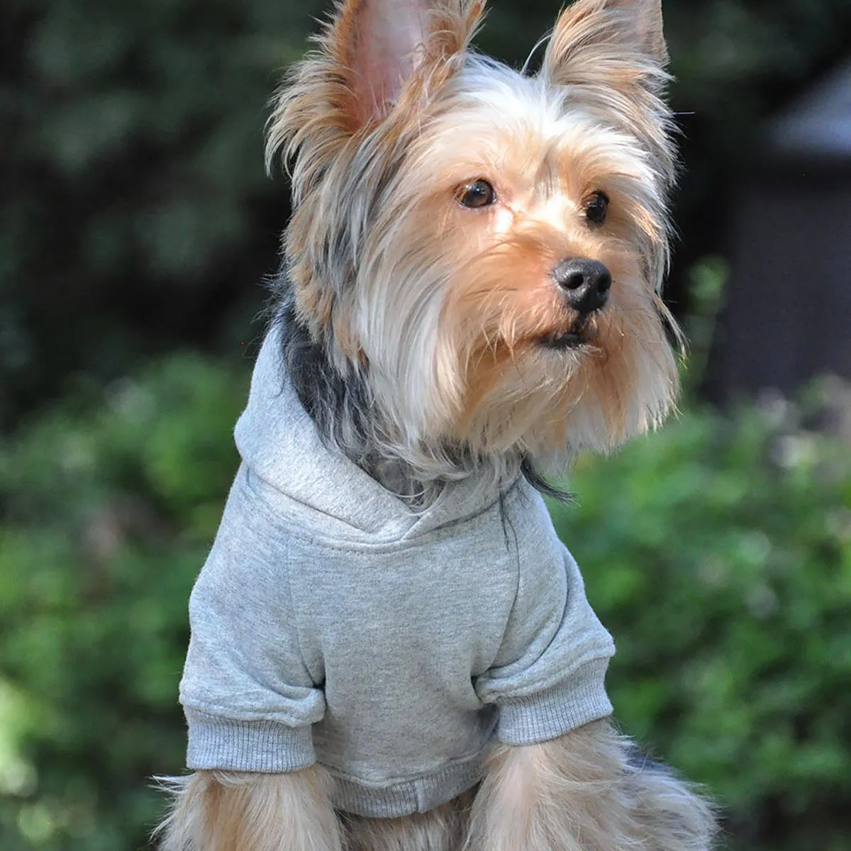 Flex-Fit Dog Hoodie Grey