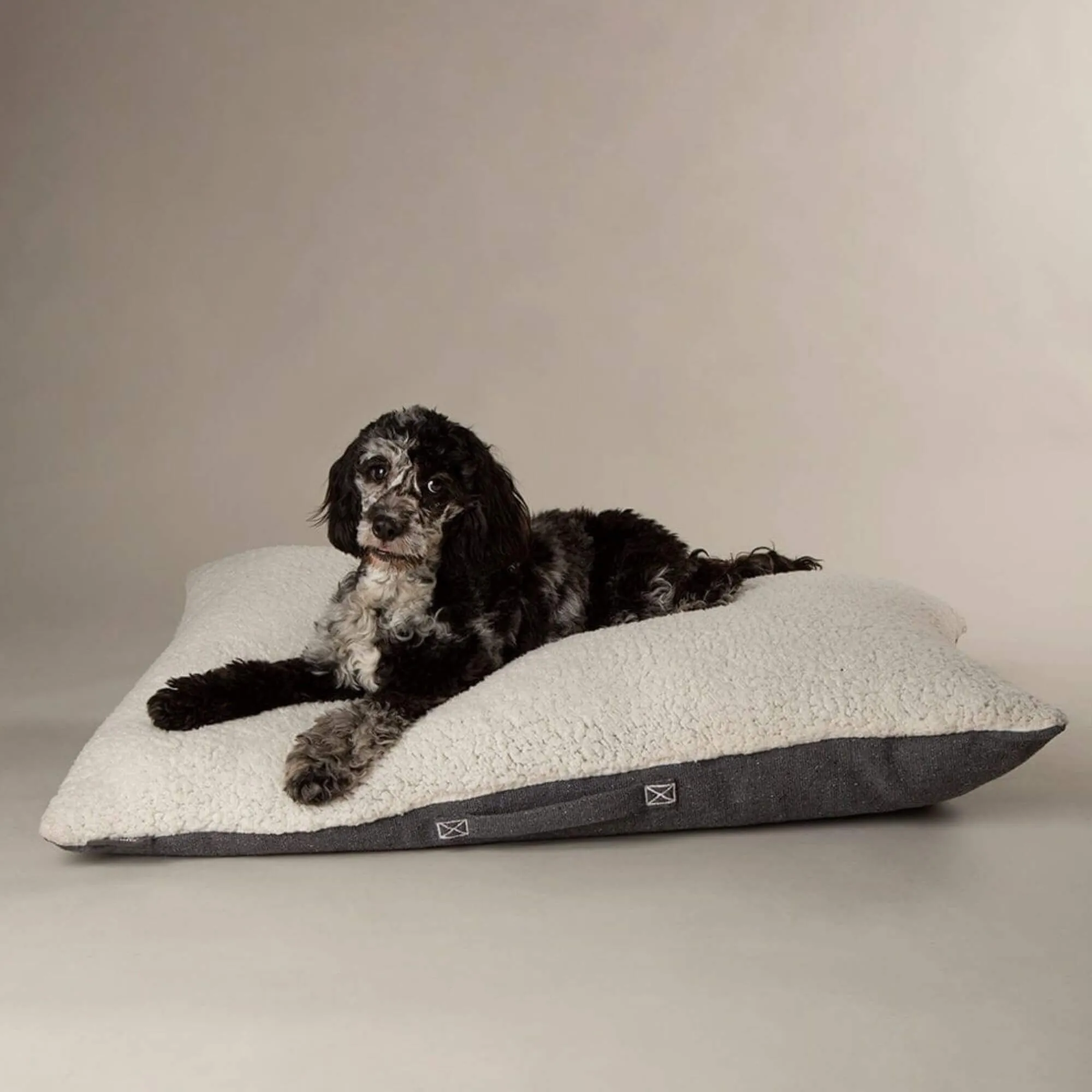 Scruffs Eden Pillow Dog Bed